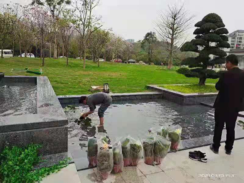 室外养护