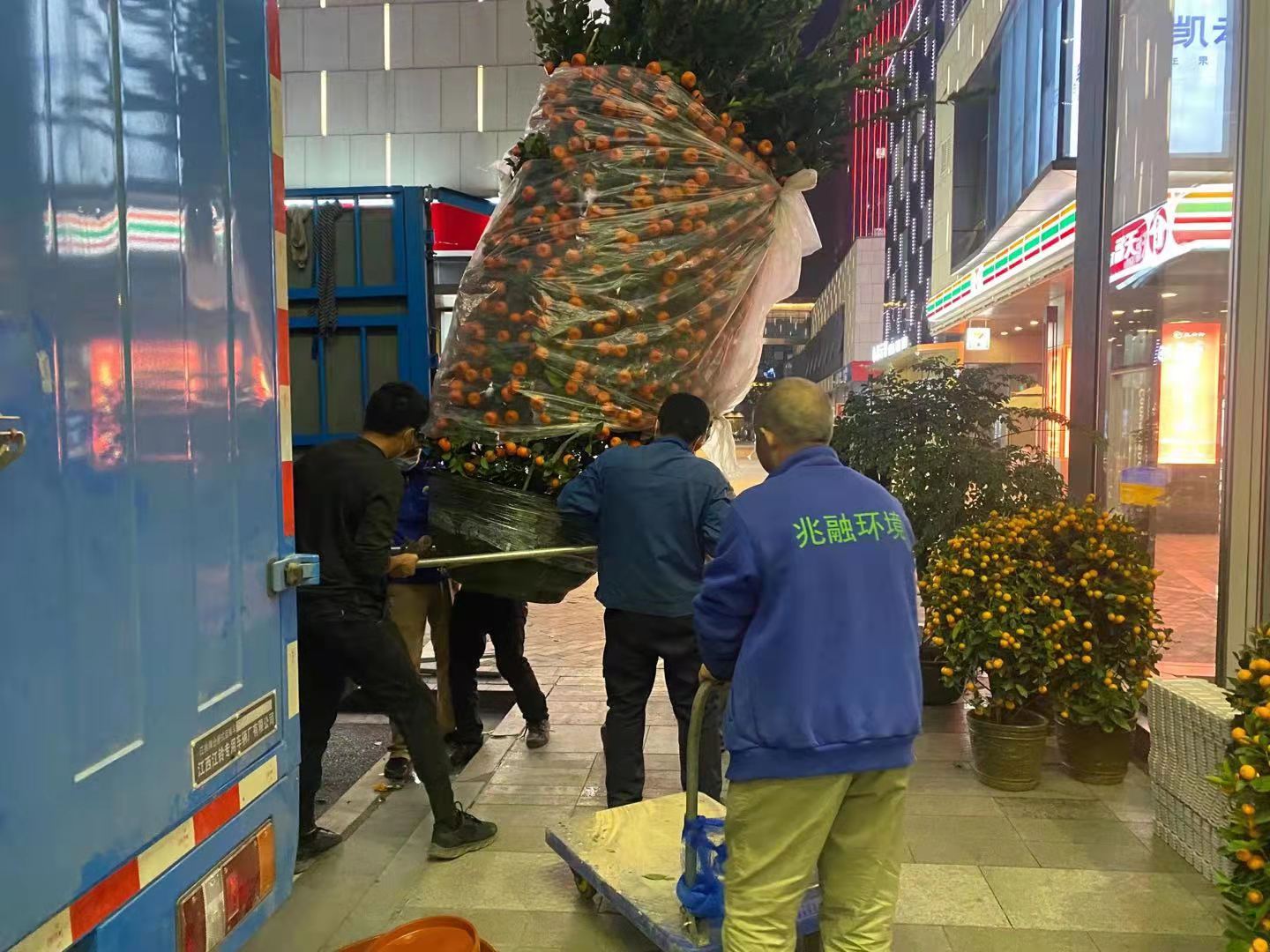 节日植物景观设计