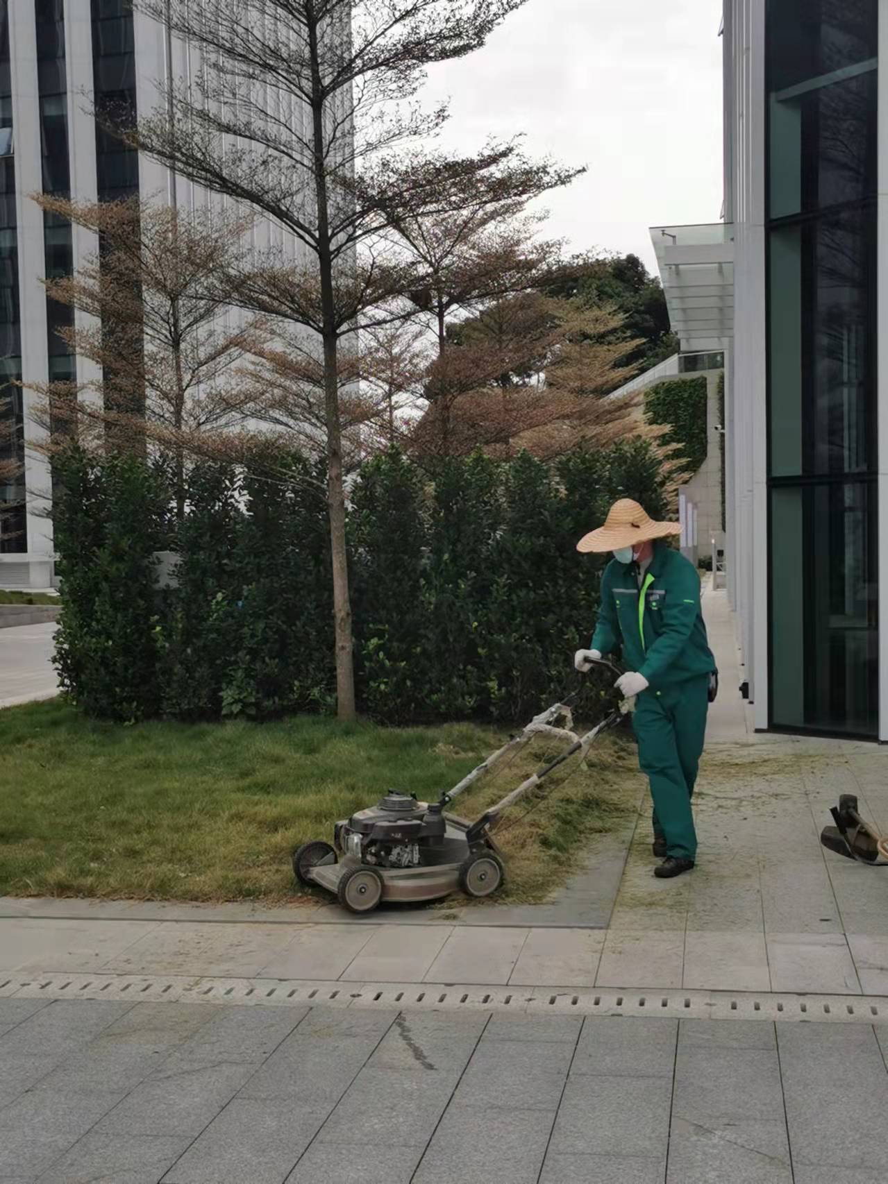 草坪养护