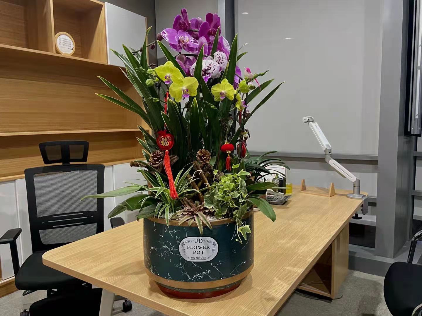 植物租赁
