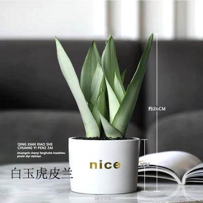 小型植物图示（0.2-0.5m）