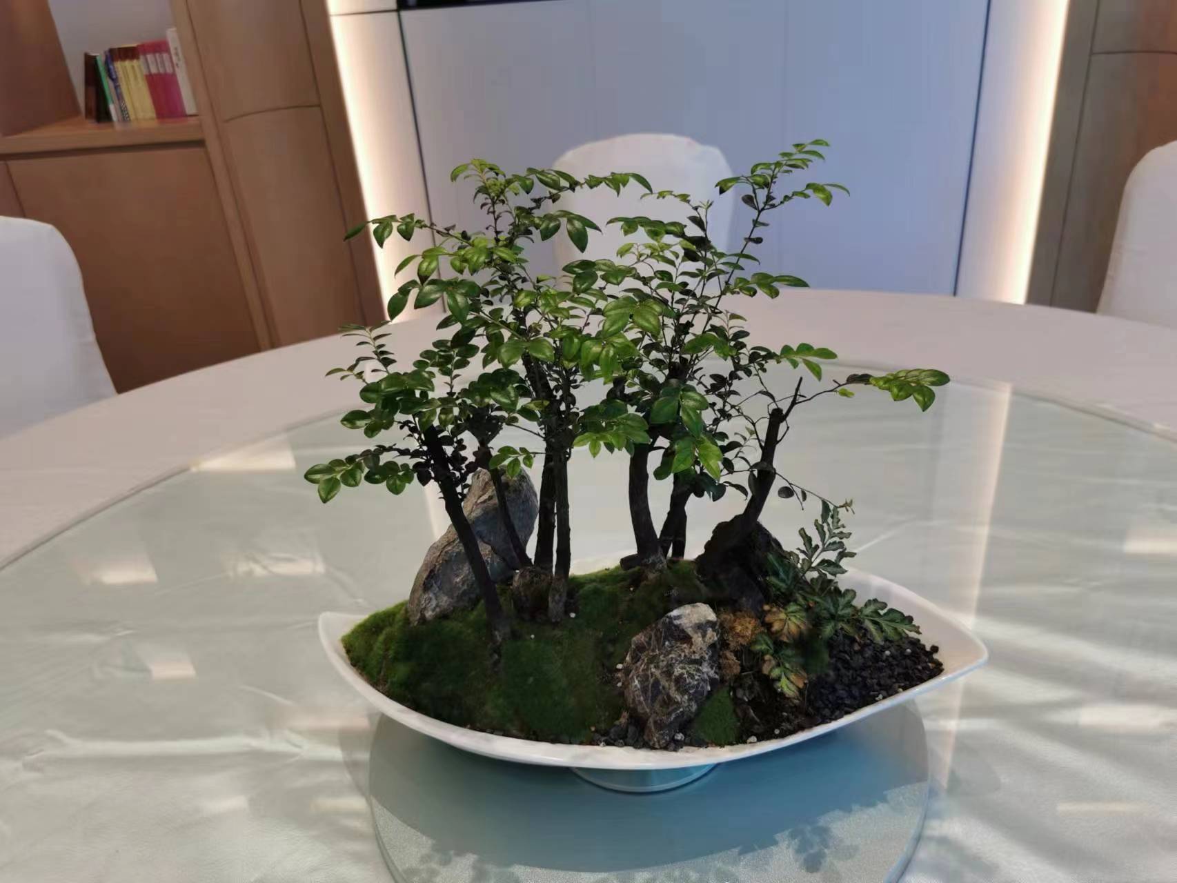 粤港澳大湾区交流中心室内植物租赁项目