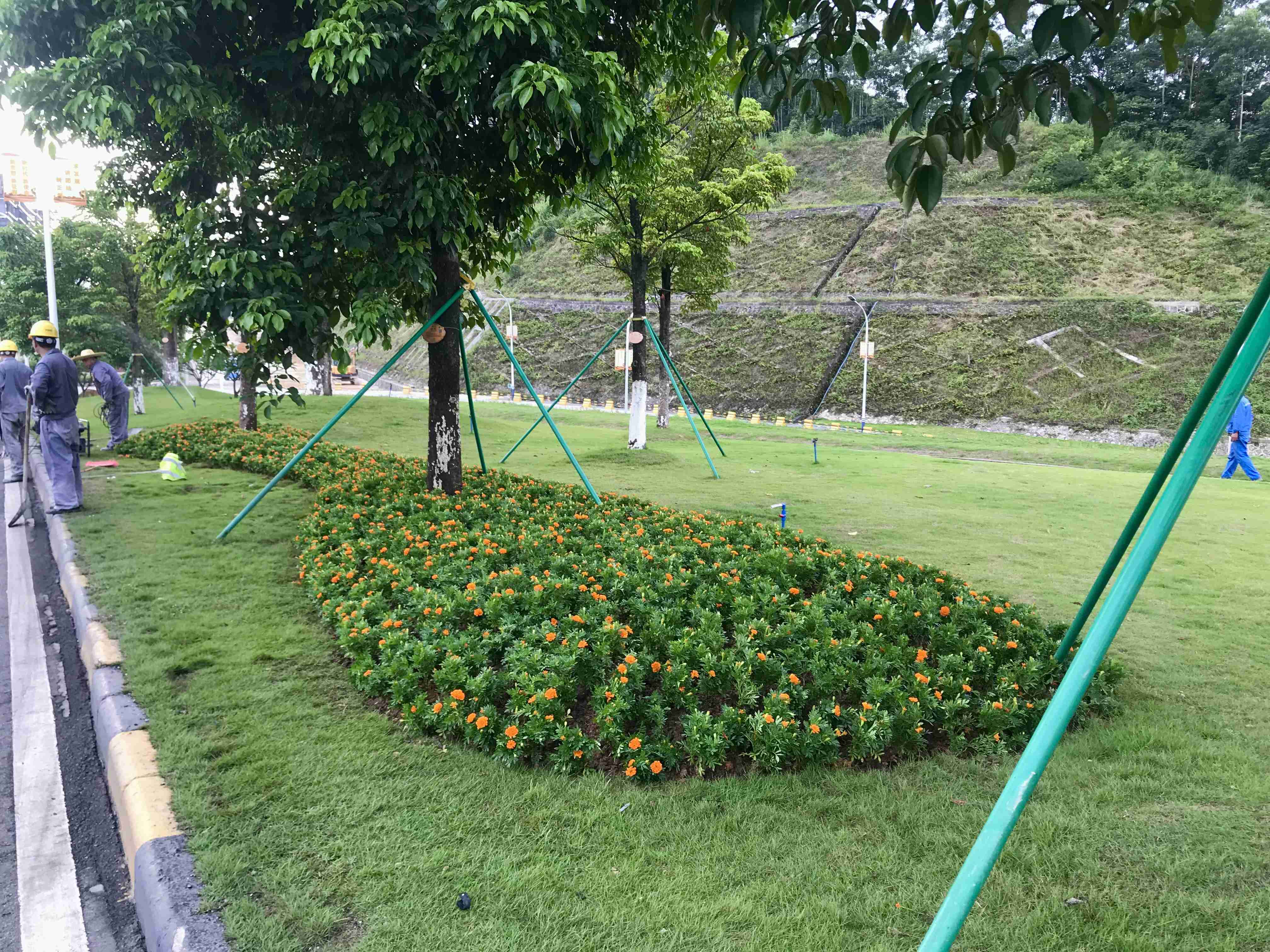 广州环投福山环保能源电厂时花种植服务项目