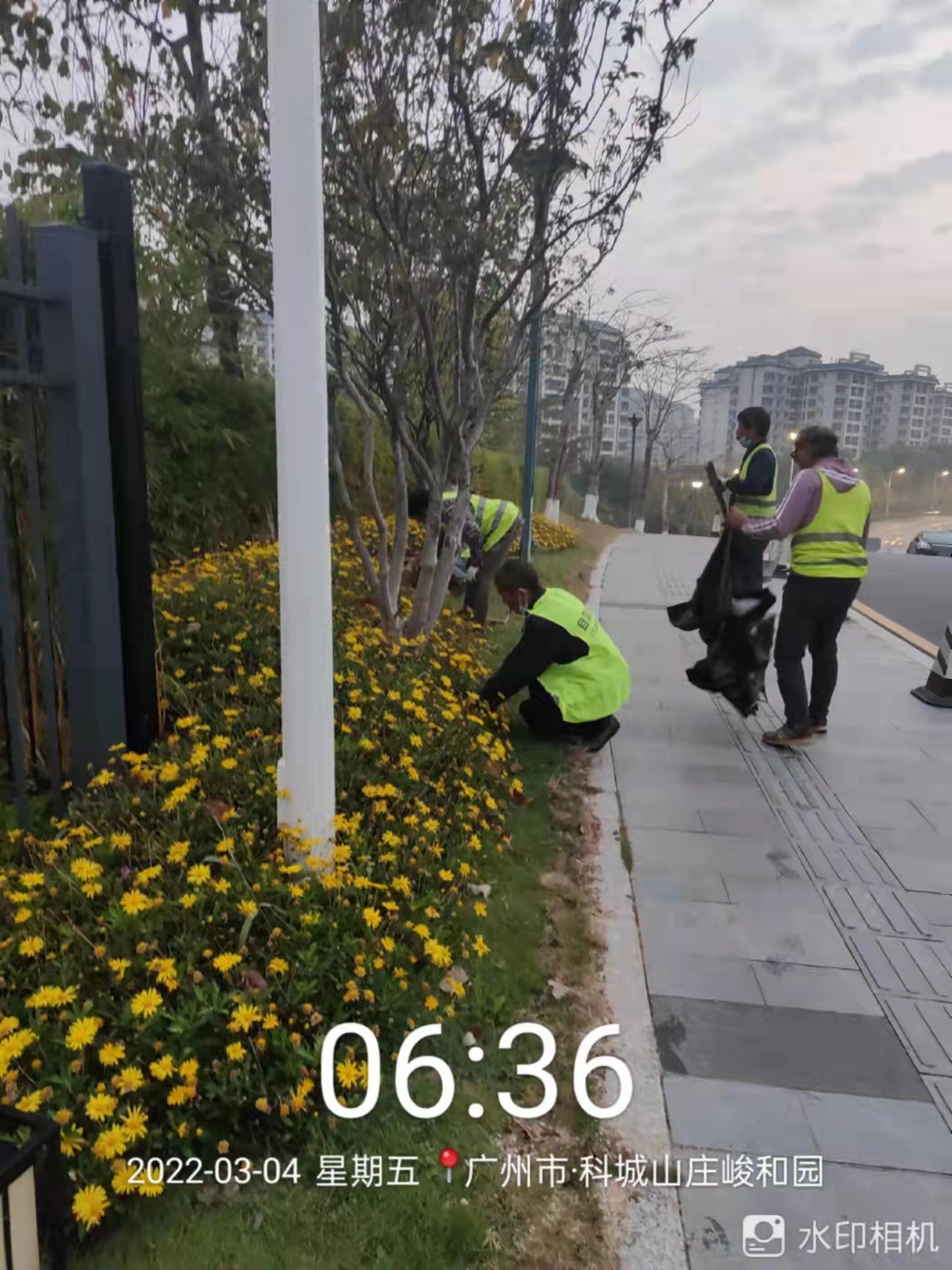绿化养护