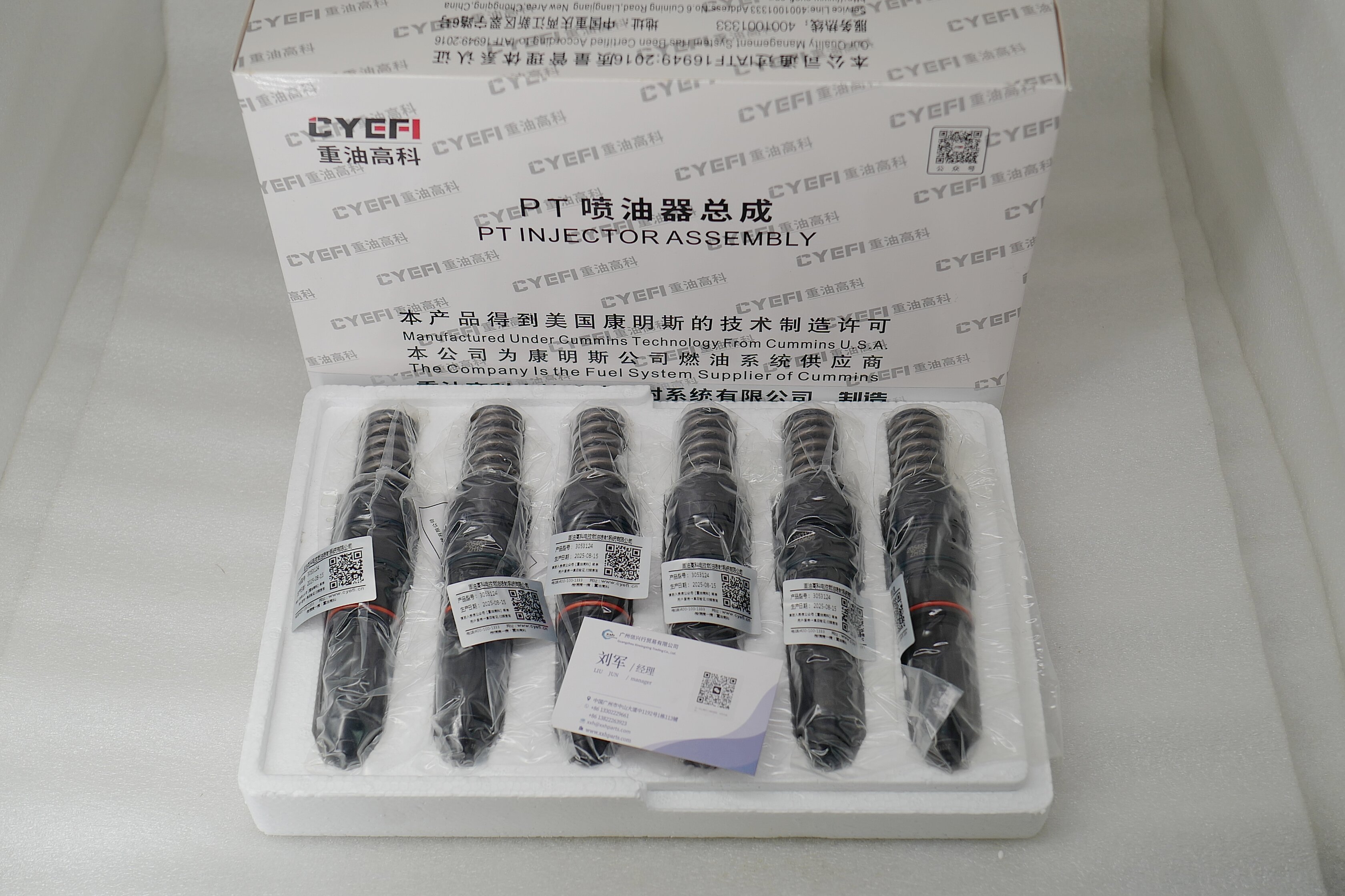 PT Fuel Injector 3053124