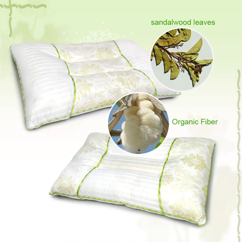 Aroma Health Pillow RK-20HE