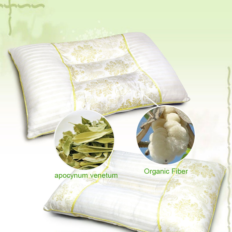 Aroma Health Pillow RK-21HE