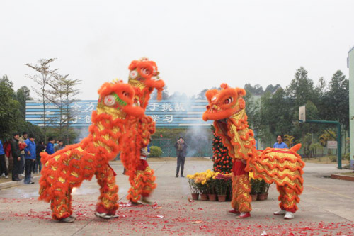 Jan 2012, Proudly Dragon dance in Spring Festival