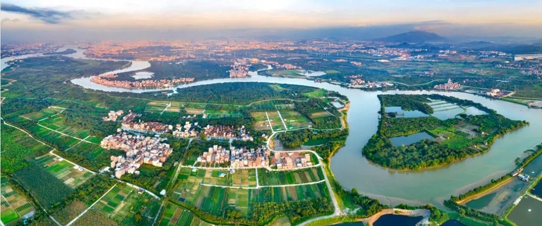 仙村镇环卫保洁服务项目