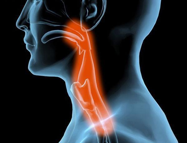 晚期经治食管癌患者的临床招募