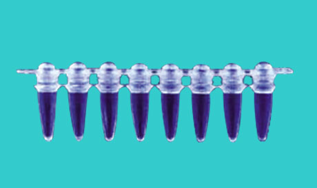 PRIMARY PLASTIC TEST TUBE