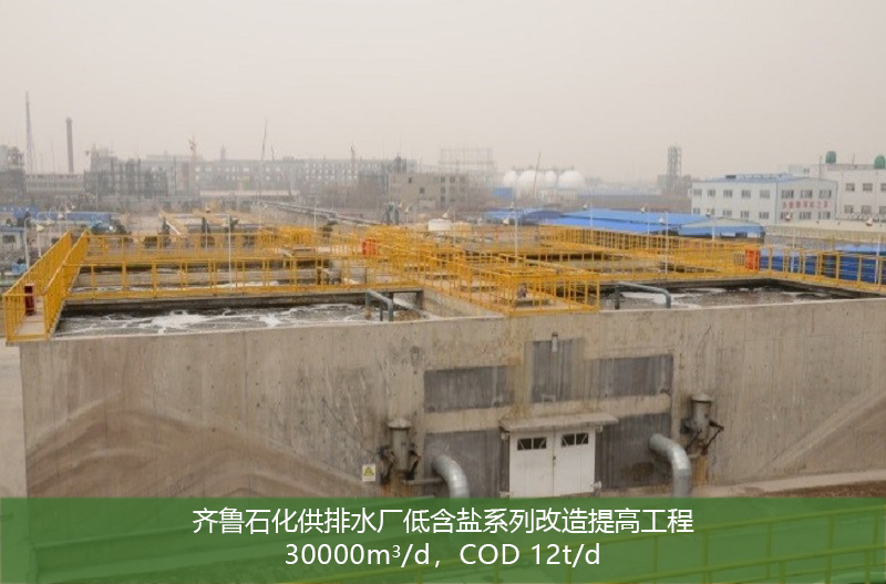 齐鲁石化供排水厂低含盐系列改造提高工程(点击了解详情）