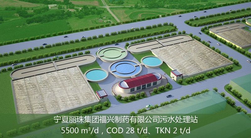 丽珠集团宁夏福兴制药有限公司(点击了解详情）