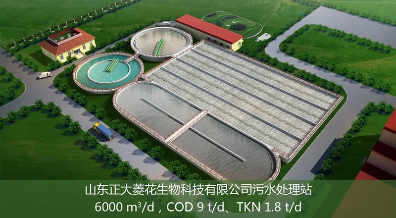 梁山正大菱花生物科技有限公司(点击了解详情）