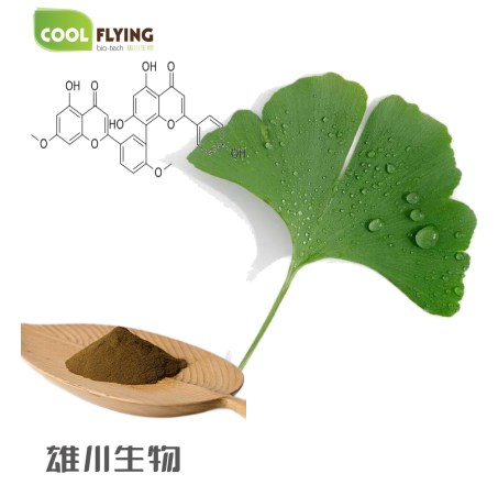 Ginkgo leaf Extract