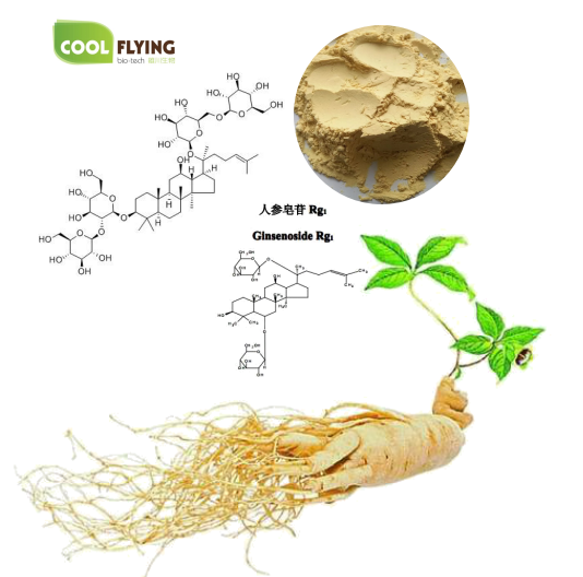 Ginseng Extract