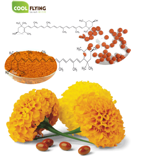 Zeaxanthin Helps Promote Eye Health