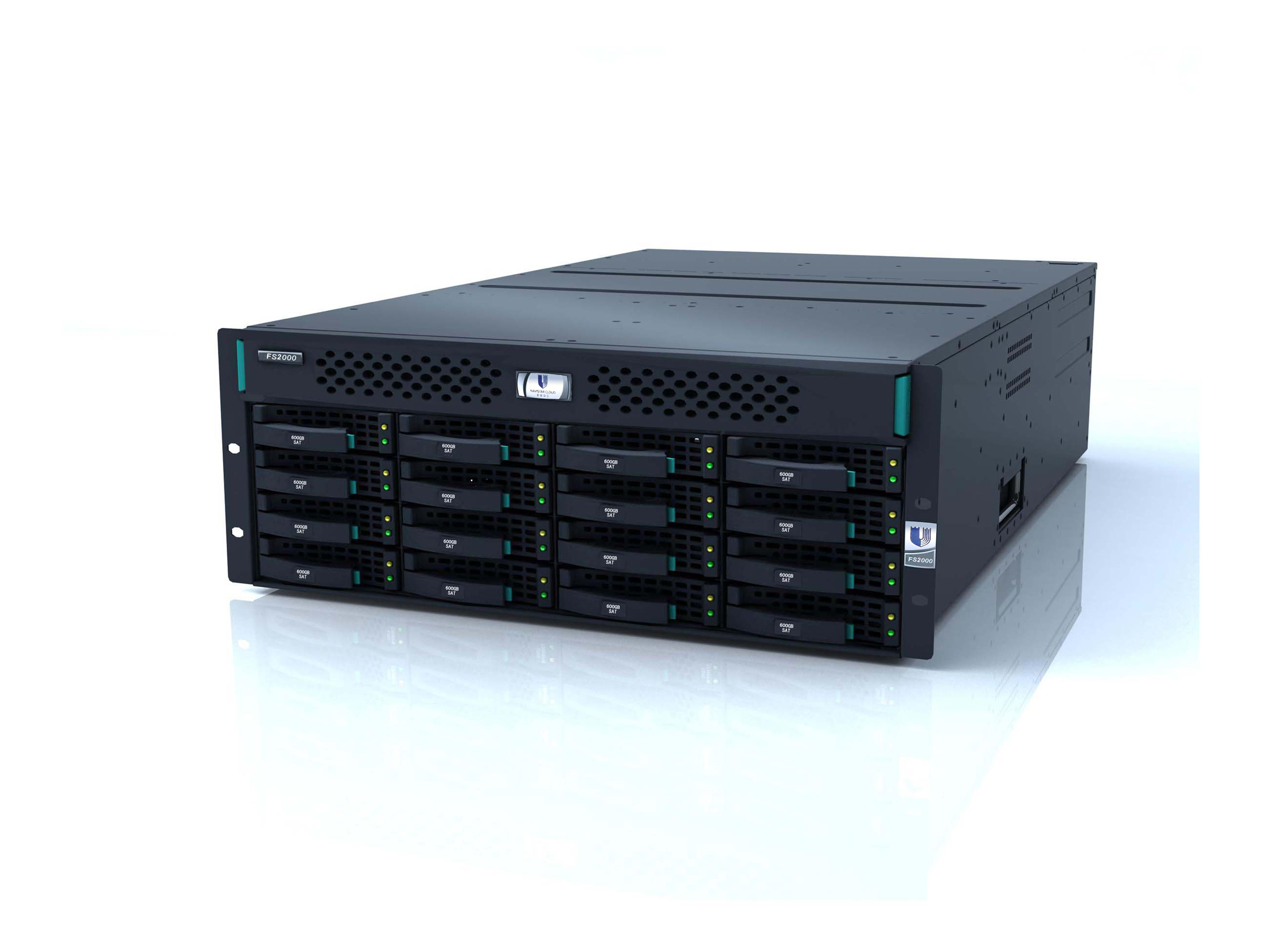 Navistor FS2000自主可控磁盘阵列