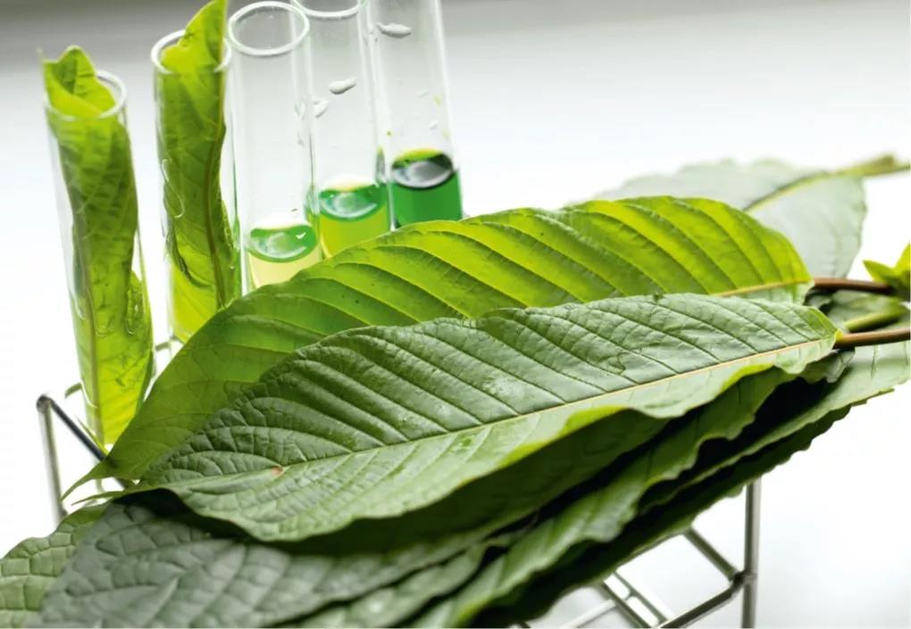 德国明凌成熟运用多年的符合食品级法规消泡剂—AGITAN® 351