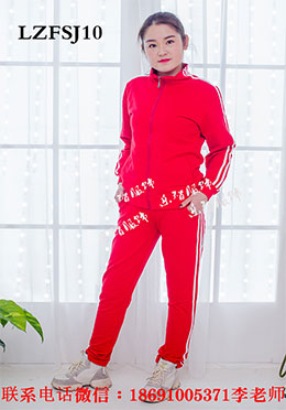 LZFSJ010