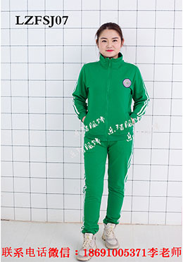LZFSJ07