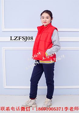 LZFSJ08