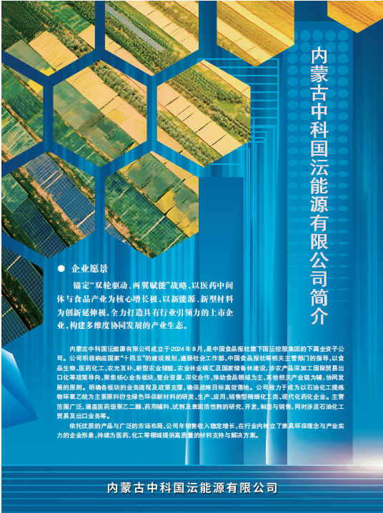 内蒙古中科国沄能源有限公司