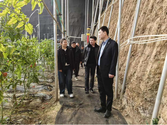 国沄集团郇强强赴山东淄博调研新型智慧农业项目