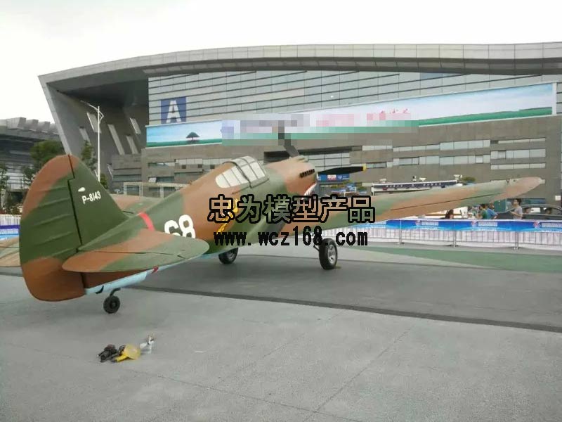 P40战机模型1:1