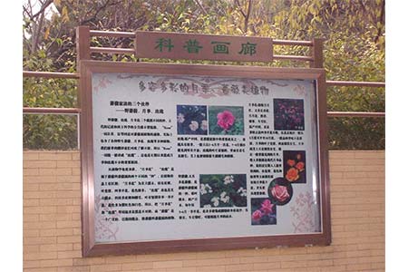 户外不锈钢科普画廊