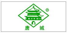 唐城