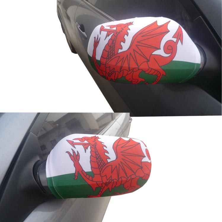 Car Mirror Cover