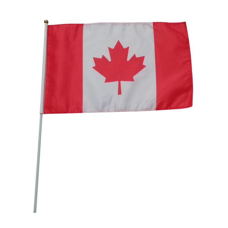 Hand Wave Flag