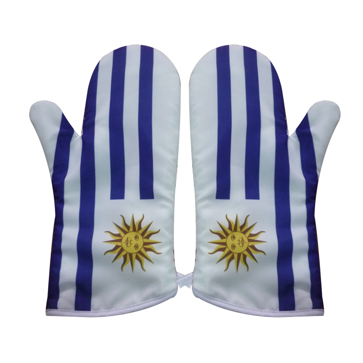 Oven Mitt