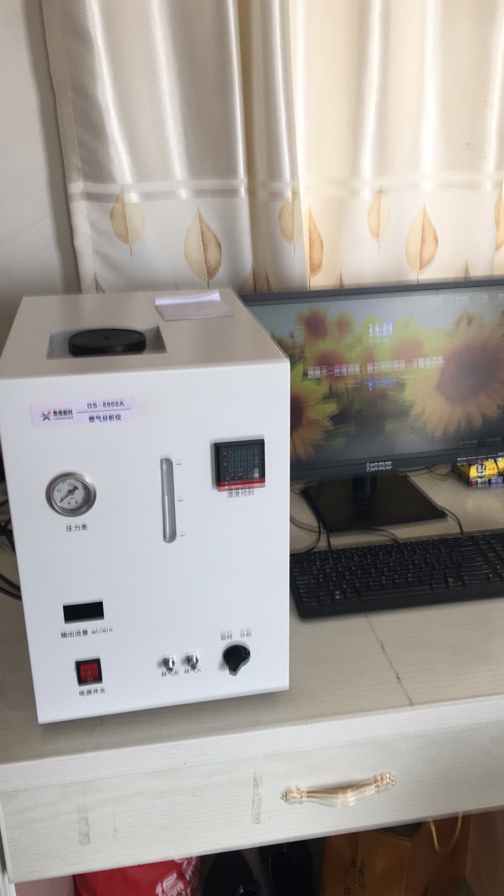 GS-8900A燃气分析仪