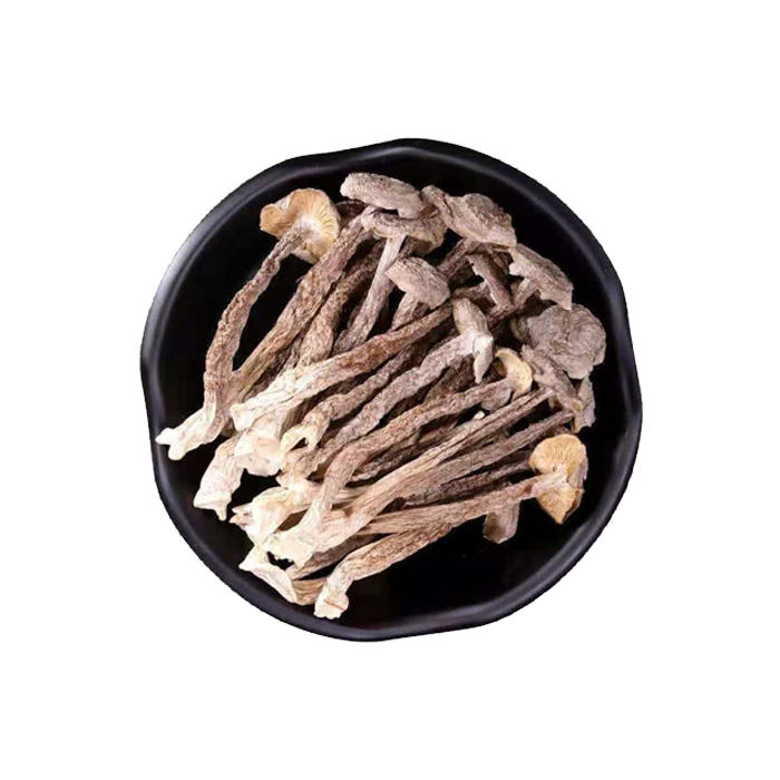 鹿茸菇