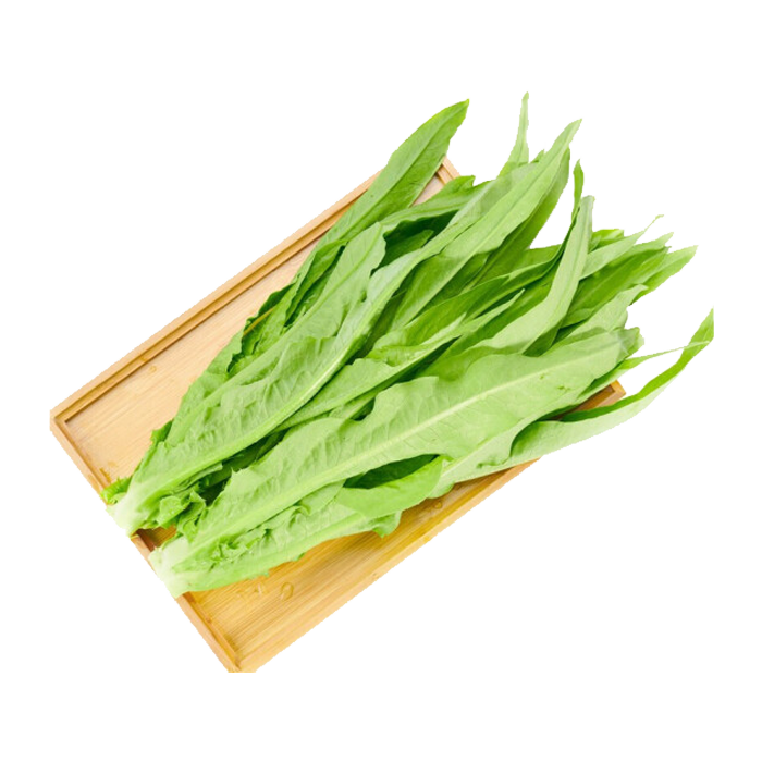 油麦菜