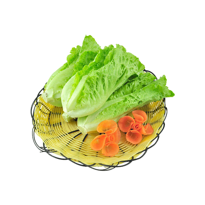 生菜
