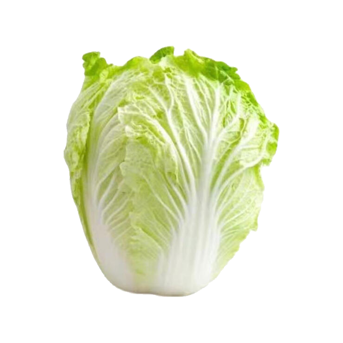 大白菜