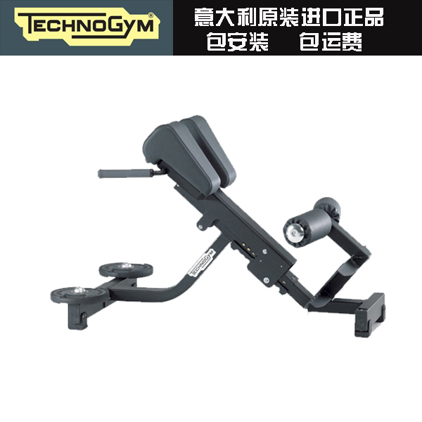 TECHNOGYM意大利原装进口泰诺健方管系列 背肌练习椅PG05