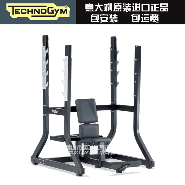 TECHNOGYM意大利原装进口泰诺健方管系列奥林匹克军用练习椅PG08