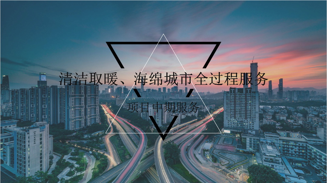 项目中期服务