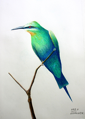 《沉思的鳥》作者8歲