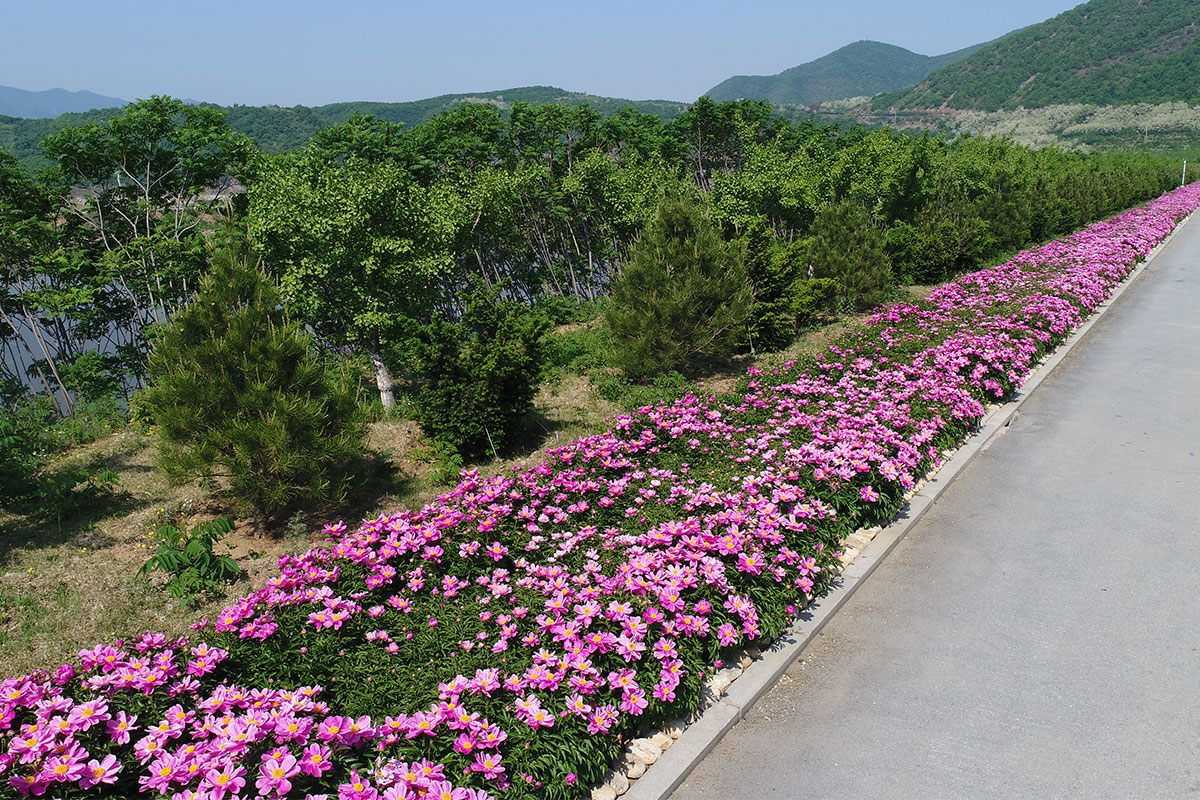 昌宇水墨画院创作中心外景拍摄