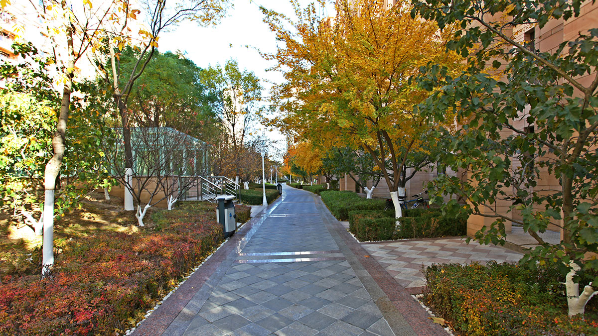 昌宇星河园区景色