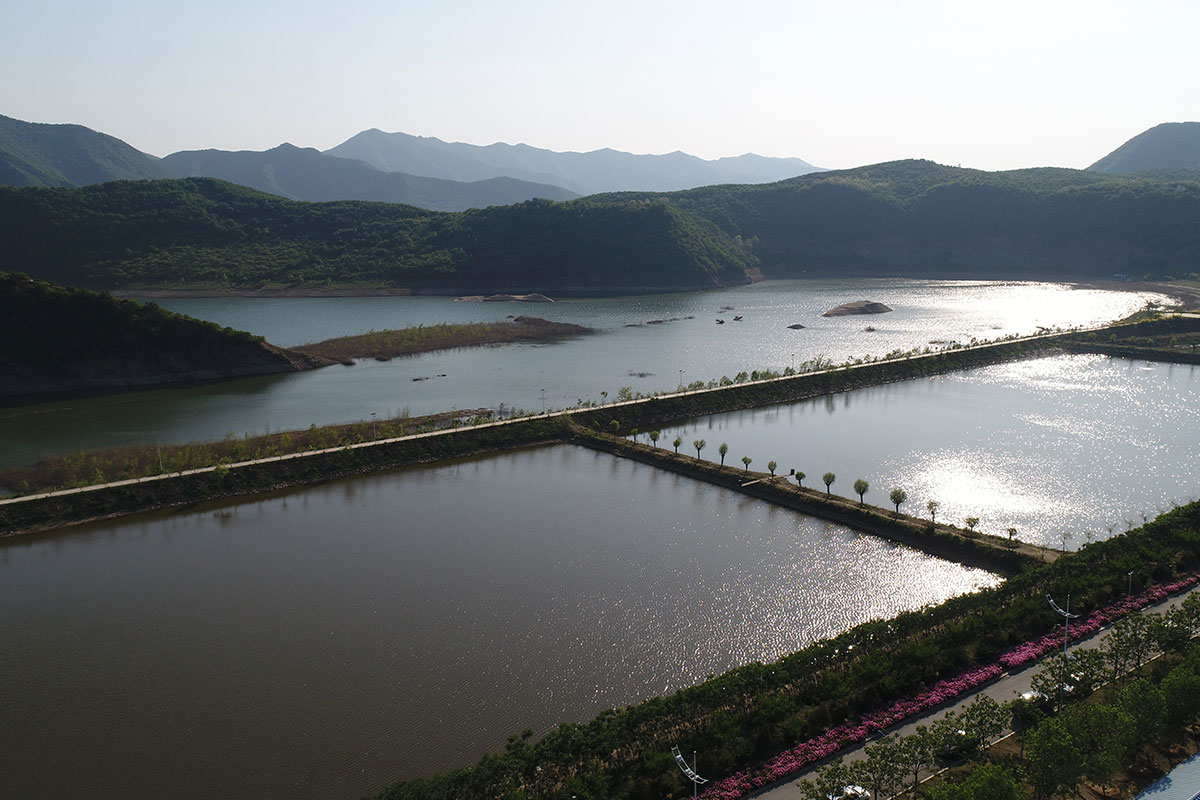 昌宇水墨画院鱼塘外景拍摄