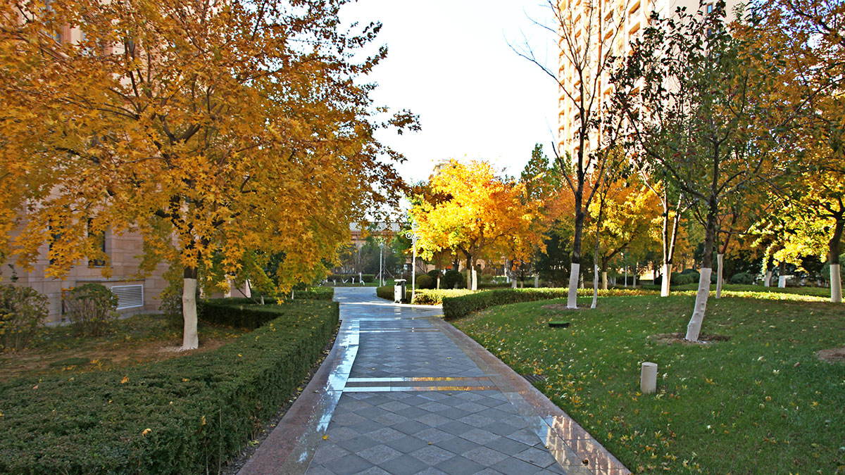 昌宇星河园区景色