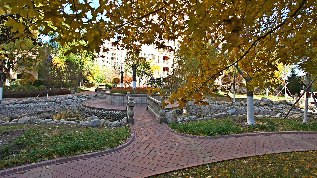 昌宇星河园区景色