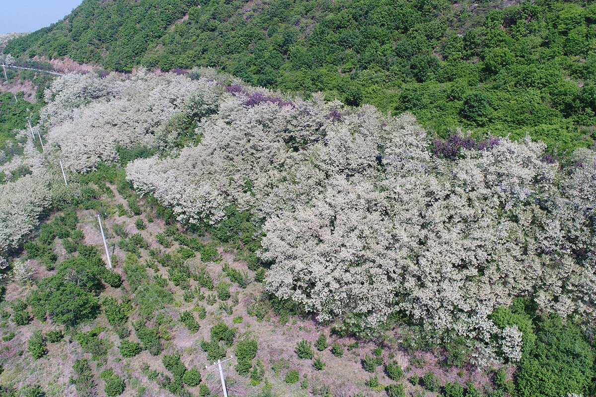 昌宇水墨画院创作中心外景拍摄