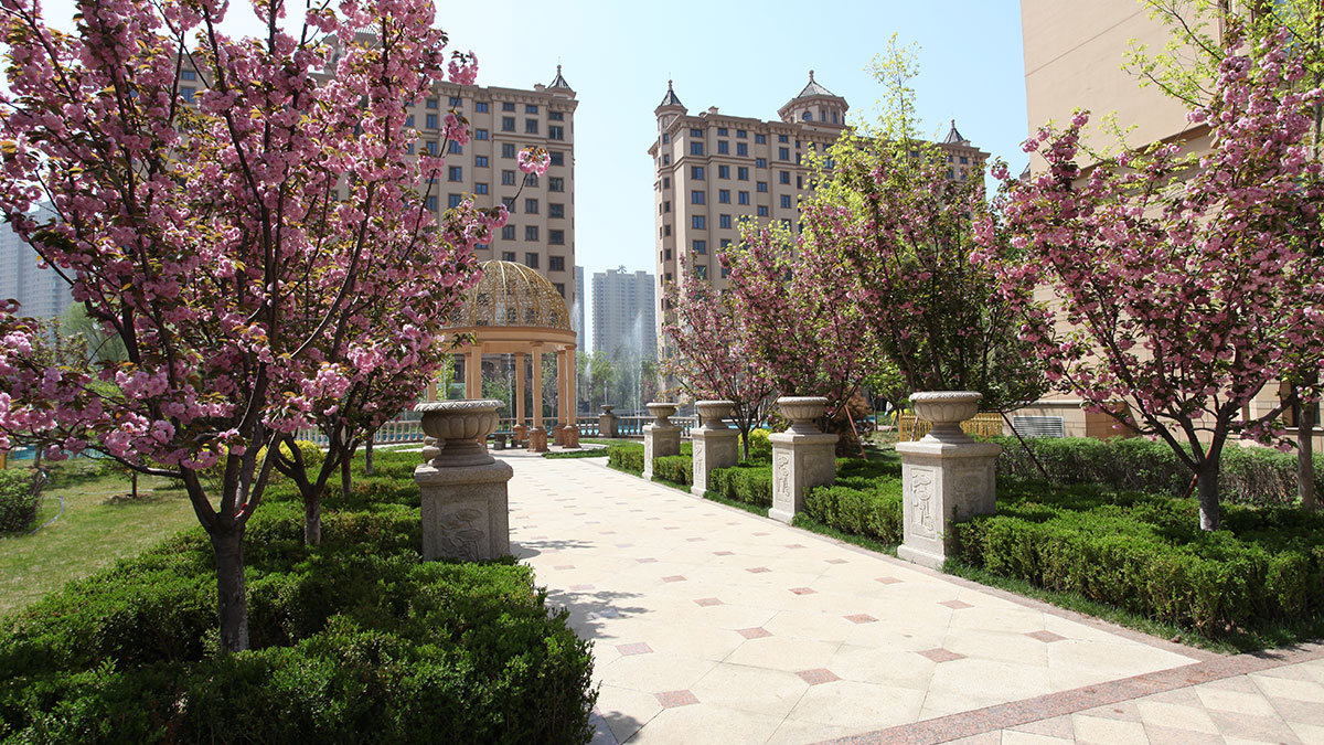 昌宇星河园区景色